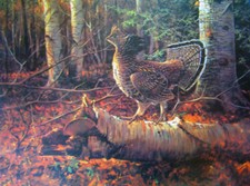 Ruffed grouse log for sale  Ahsahka