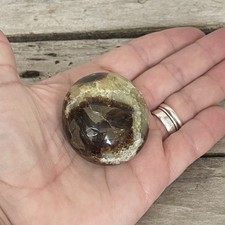 Septarian crystal palm for sale  ABINGDON