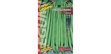 Semi fagiolo nano usato  Villarbasse
