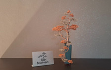 Bonsai cascata filo usato  Monguzzo