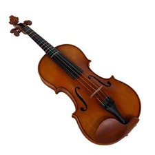 Andreas eastman vl200 for sale  Burnsville