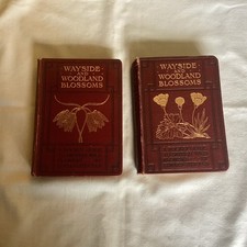 Warne wayside woodland for sale  HOLT