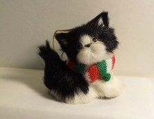 Furry little kitten for sale  Spring Hill
