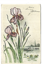 Illustration relief fleurs d'occasion  Toulon-