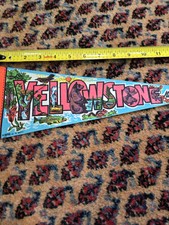 Vintage neon yellowstone for sale  New Orleans