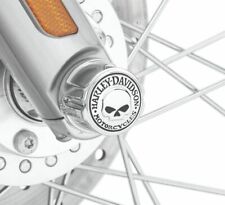 Skull cover asse usato  Napoli