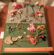 Bouquets fleurs anciennes d'occasion  Bergerac