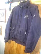 Blue mountain horse for sale  WINSFORD