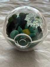 Pokémon terrarium ment usato  Oderzo