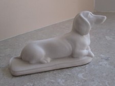 dachshunds for sale dachshunds for sale DAVENTRY