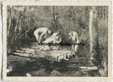 Z1489 foto russland gebraucht kaufen  Kirchhain