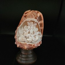 Conch shell italian for sale  SLOUGH