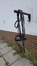 Trense passier neptune gebraucht kaufen  Bad Berleburg