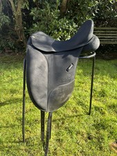 Winter isabell dressage for sale  STOKE-ON-TRENT