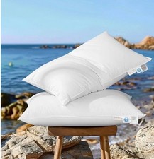 Travesseiro de luxo canadense branco ganso tamanho King (conjunto de 2) 1050 poder de preenchimento comprar usado  Enviando para Brazil
