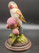 Country artists goldfinch for sale  LEEDS