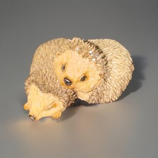 Sherratt simpson hedgehog for sale  San Antonio