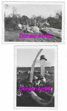 Foto abgestürztes englisches gebraucht kaufen  Regensburg