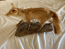 Vintage real size for sale  California City