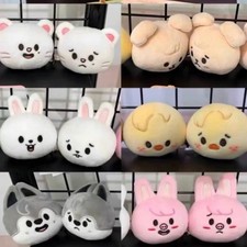 Mini boneca Kpop Stray Kids olhos pontilhados dupla face squishy stress bola desenho animado fofo comprar usado  Enviando para Brazil