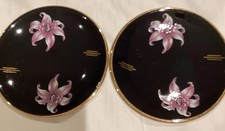 Orchid palissy england for sale  LONDON