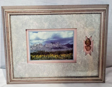 Framed mountain scene for sale  Winona