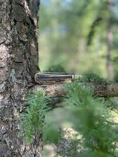 Great eastern cutlery gebraucht kaufen  Recklinghausen