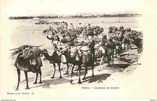 Algérie biskra caravane d'occasion  Fruges