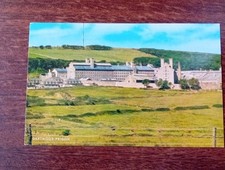 Dartmoor prison salmon for sale  NORTHAMPTON