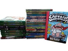 Accelerated reader chapter for sale  Spring