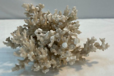 Natural medium white for sale  Deming