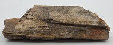 Petrified wood rock for sale  Concan