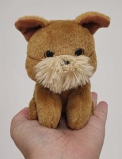 Russ petooties pets for sale  HUDDERSFIELD