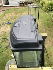 Bow front fish for sale  CLACTON-ON-SEA