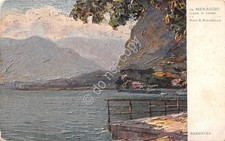 Cartolina illustrata polesello usato  Milano
