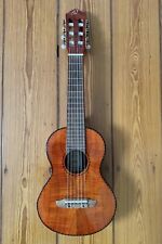Rtega gitarre rgle18fmh gebraucht kaufen  Rheinberg