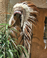 Coiffe indienne indianer gebraucht kaufen  Glees, Wassenach, Wehr