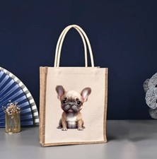 French bulldog puppy for sale  BIGGLESWADE