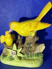 Yellow canary feeding for sale  Citrus Heights