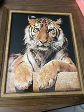 Vintage bengal tiger for sale  North Bend