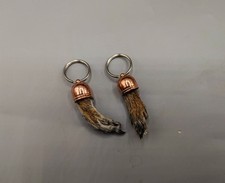 Taxidermy squirel paw for sale  SHEFFIELD