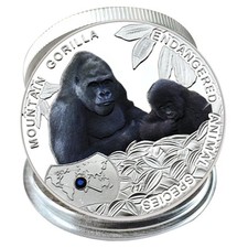 Zambia 2014 gorilla usato  Spedire a Italy