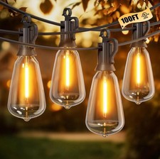 Brightown outdoor string for sale  Erie