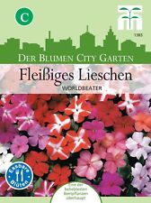 Fleißiges lieschen worldbeate gebraucht kaufen  Wuppertal