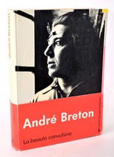 Andre breton beaute usato  Roma