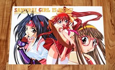 Samurai girl real gebraucht kaufen  Bielefeld