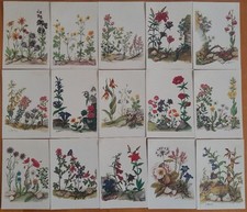 Vecchie cartoline fiori usato  Foligno