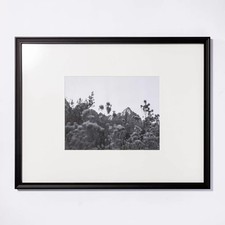 Matted x 14 for sale  USA