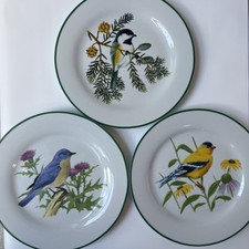 Set nwf songbird for sale  Columbus