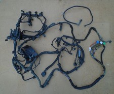 Lupo engine wiring for sale  HOLSWORTHY
